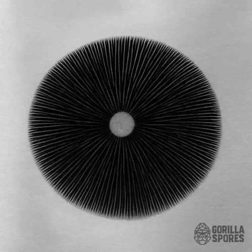 Spore Prints