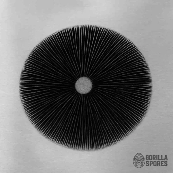 Spore Prints