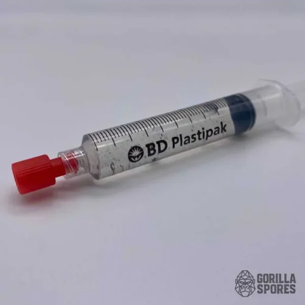 psilocybe cubensis spore syringe